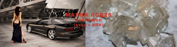 индика Армянск