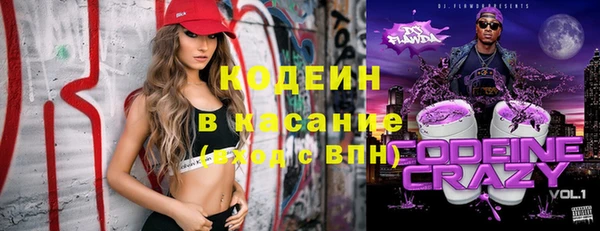индика Армянск
