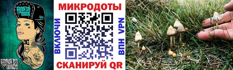 Псилоцибиновые грибы GOLDEN TEACHER  МЕГА онион  Чернушка 